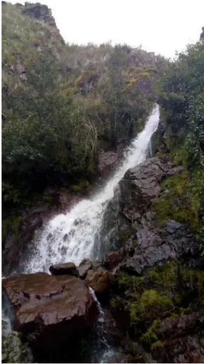 Figura 4 . Catarata de Miraflores 