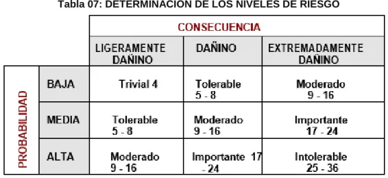 Tabla 07: DETERMINACIÓN DE LOS NIVELES DE RIESGO 