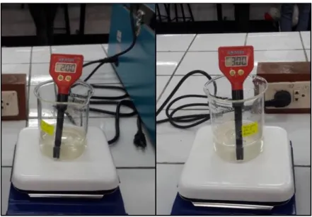 Figura  13.  Adición  del  adsorbente  en  cada  vaso  de  precipitación 