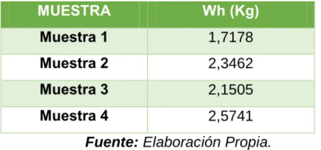Tabla N°3.2:  Peso de las hojas de Maguey antes del secado