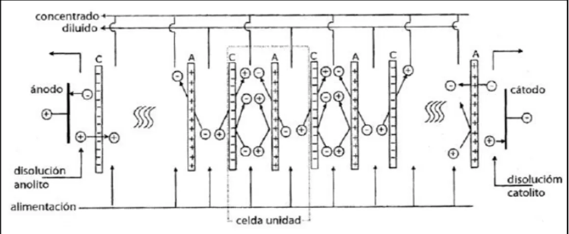 Figura 5. Esquema de un reactor de Electrodiálisis. 