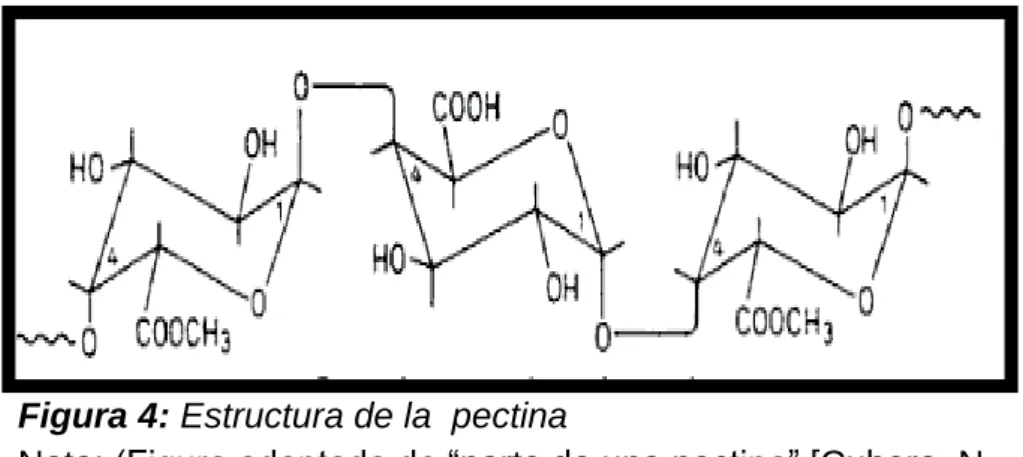 Figura 4: Estructura de la  pectina  