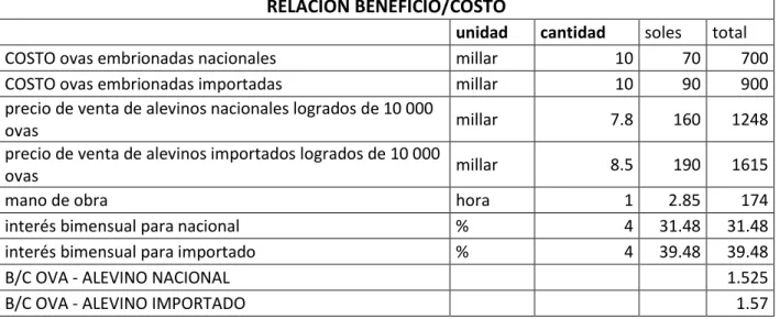 CUADRO Nº 4  BENEFICIO COSTO 