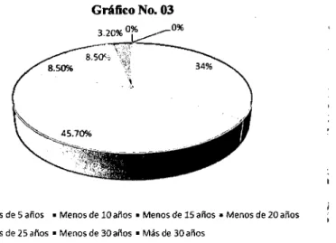 Gráfico No. 03 