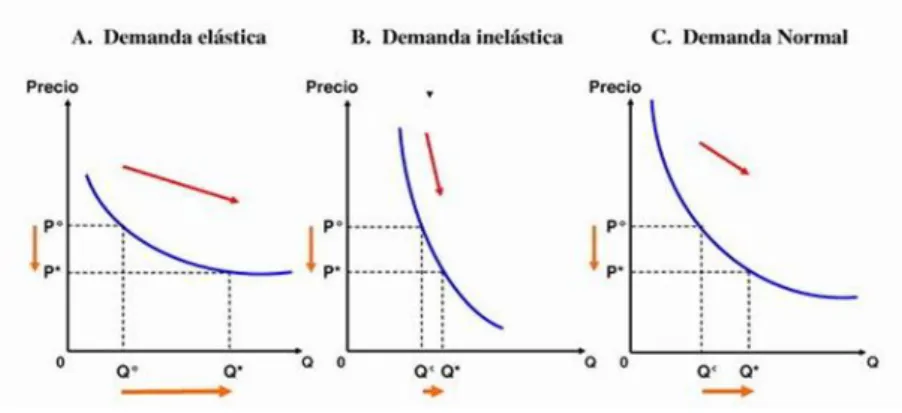 Figura 8. Elasticidad de la demanda