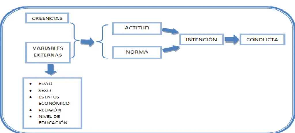Figura 9. Determinantes del modelo de conducta