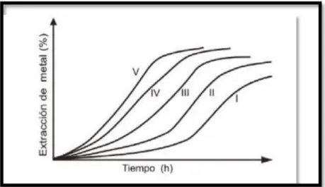 Figura 8. Curvas de adaptación de bacterias. 
