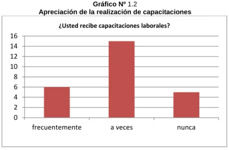 Gráfico Nº 1.2 