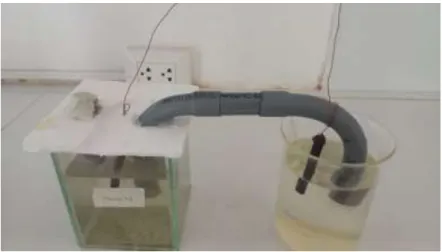Figura 6: Montaje Experimental 
