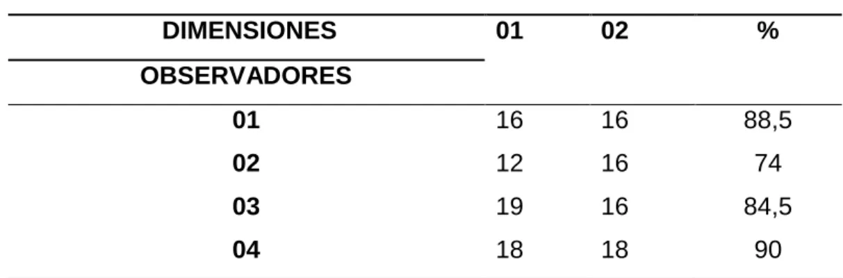 Tabla 3  Resultados de los validadores 