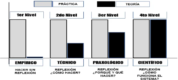 Figura  13. Niveles de la relación teoría práctica. 