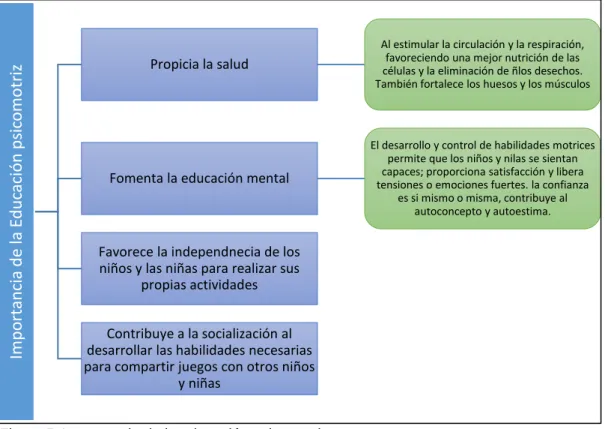 Figura 5. Importancia de la educación psicomotriz.  