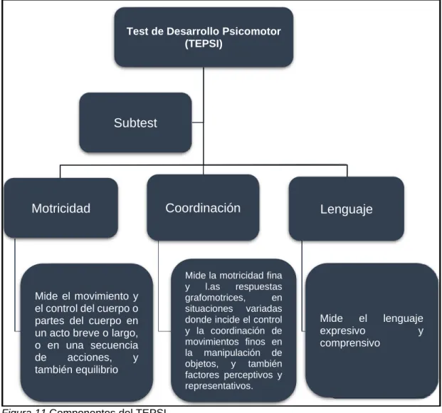 Figura 11.Componentes del TEPSI. 