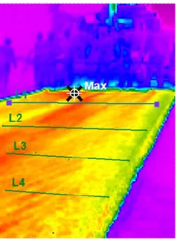 Figura 4. Imagen tomada con una cámara de infrarrojos con RAZ IR  Analysis Software 