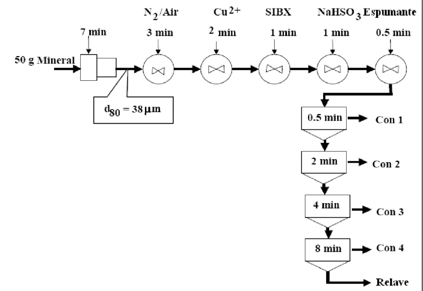 Fig. 1. Presentación esquemática del procedimiento de flotación  