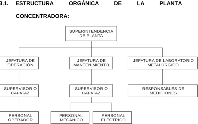 Figura Nº 3.1. Estructura Orgánica. 