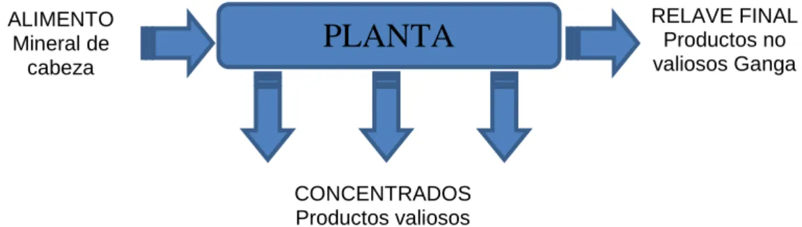 Fig. 03: Representación de una planta concentradora . 