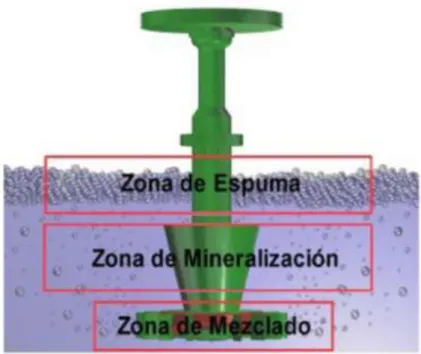 Fig. 04: Zonas típicas de una celda de flotación. 