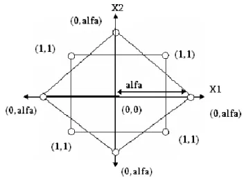 Fig. 05: Representación gráfica del diseño octagonal. 