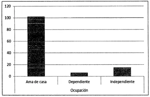 Fig  3. En el gráfico observamos que la mayoría de las pacientes son ama de casa 