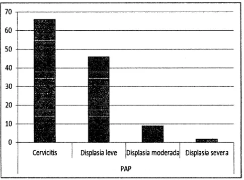 Fig 9.  En el gráfico se observa que al PAP la mayoria presenta una cervicitis 
