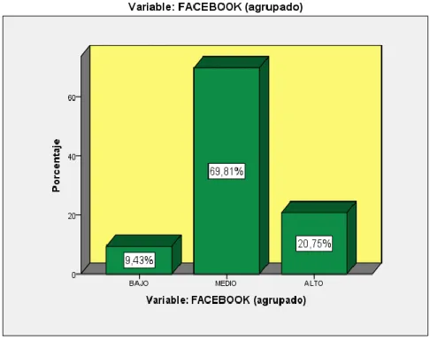 Gráfico  1: Situación de la variable Facebook 
