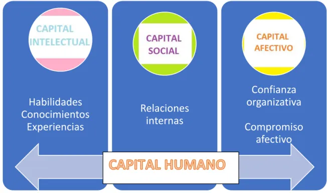 FIGURA 1: CONCEPTUALIZACIÓN DEL CAPTAL HUMANO. 