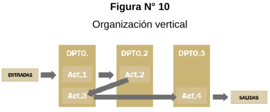 Figura N° 10  Organización vertical 