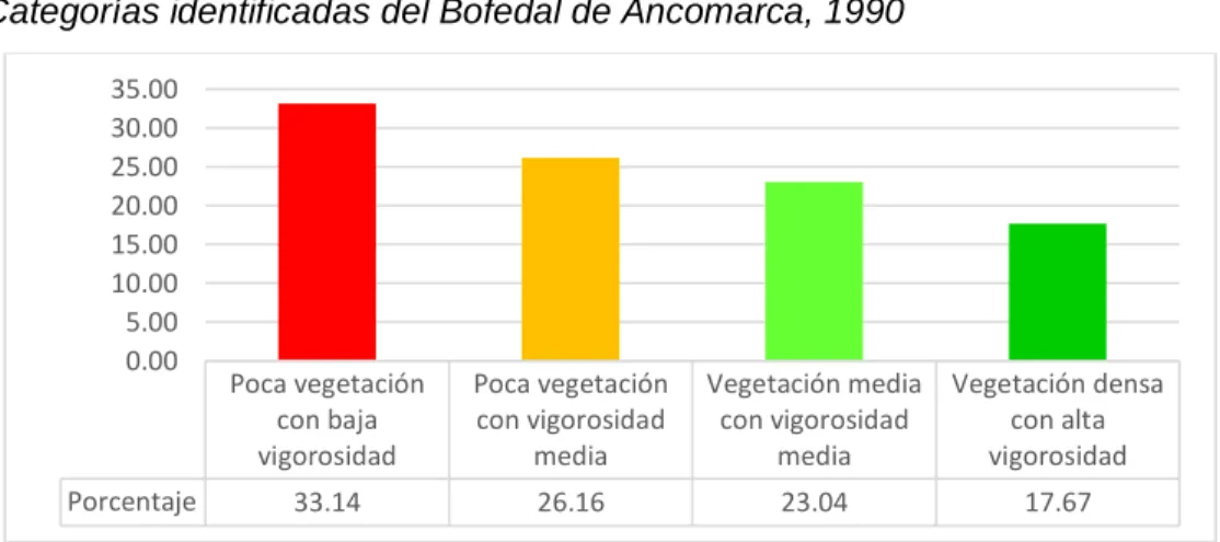 Mapa del Estado Situacional del Bofedal de Ancomarca (año 1990) 