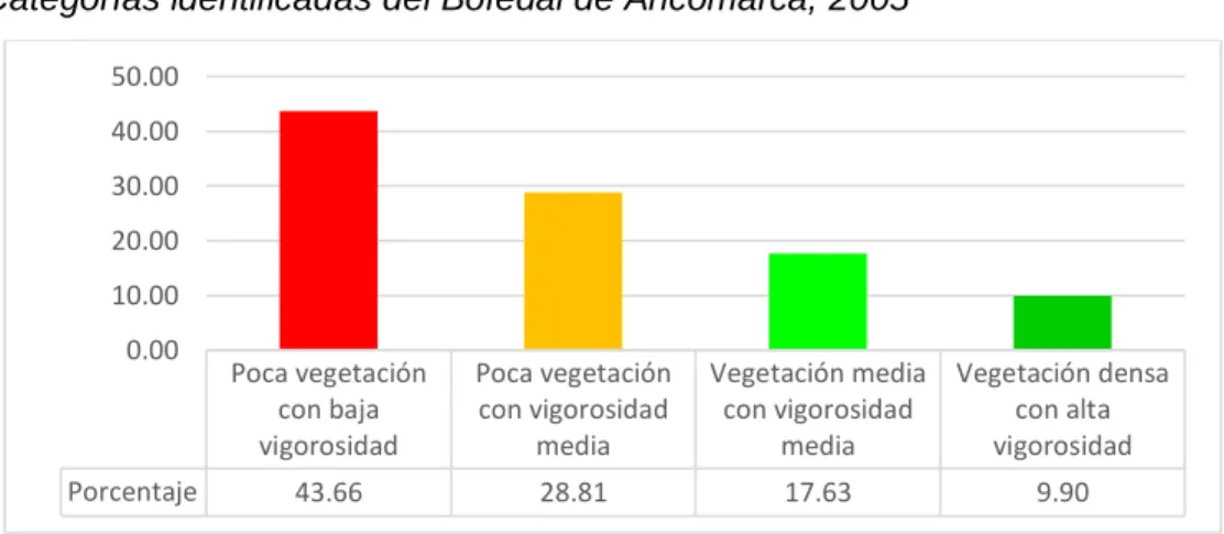 Mapa del Estado Situacional del Bofedal de Ancomarca (año 2005) 