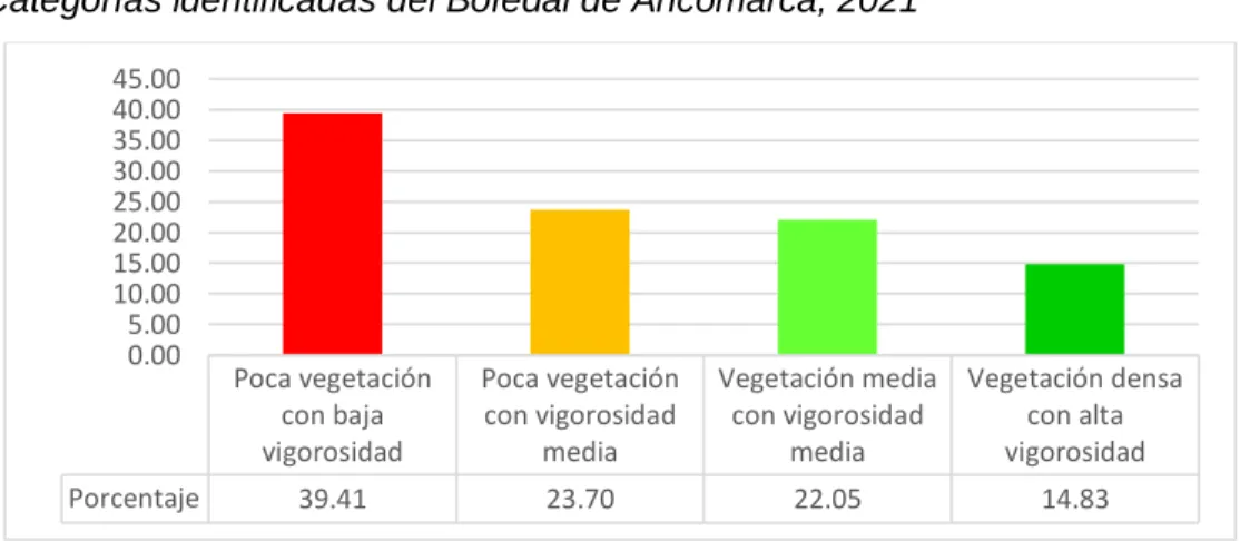 Mapa del Estado Situacional del Bofedal de Ancomarca (año 2021) 
