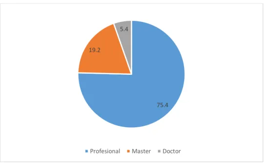 Figura 3. Grado de instrucción 