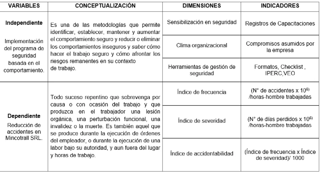 Tabla 1:  Operacionalización de variables. 