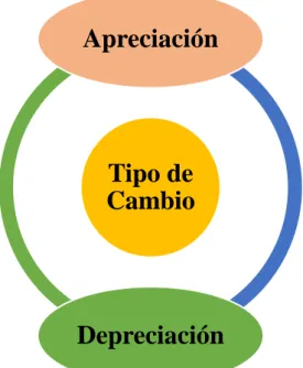 Figura 2 Dimensiones del tipo de cambio 