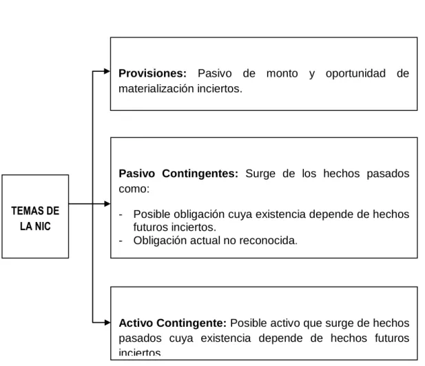Figura 3.Temas de la NIC 