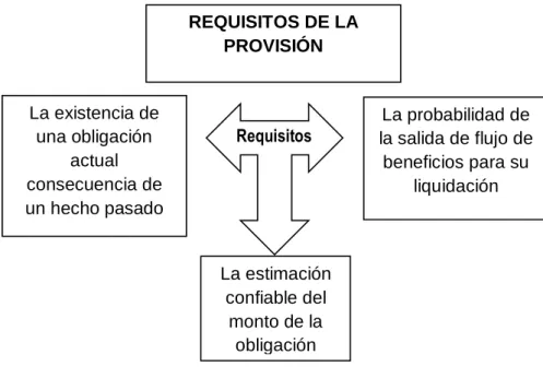 Figura 5.Requisitos de la NIC 37 