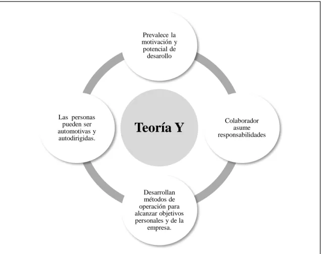 Figura 7: Características Teoría Y 