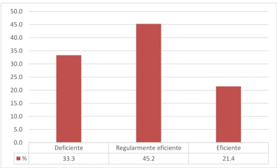 Figura 5. Proceso de reclutamiento 