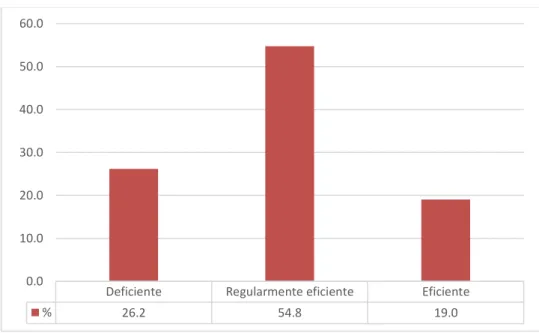 Figura 10. Descripción de puestos 