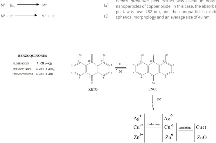 Figure 1. Reduction mechanism with Aloe vera.