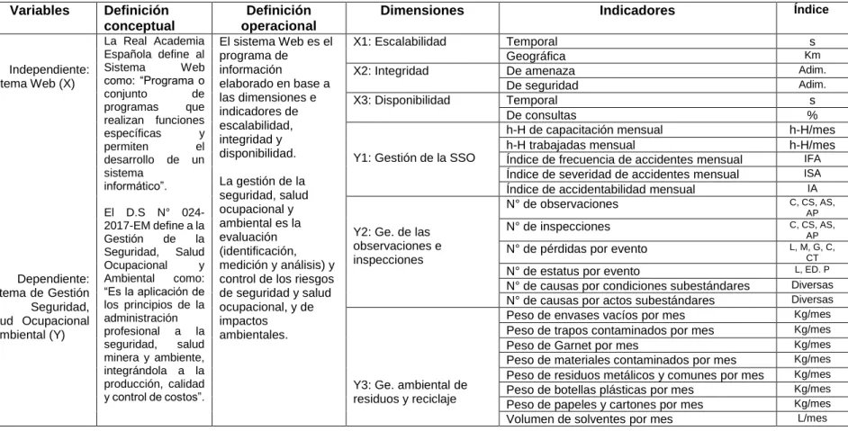 Tabla N° 3. Concepción y operacionalización de variables. 