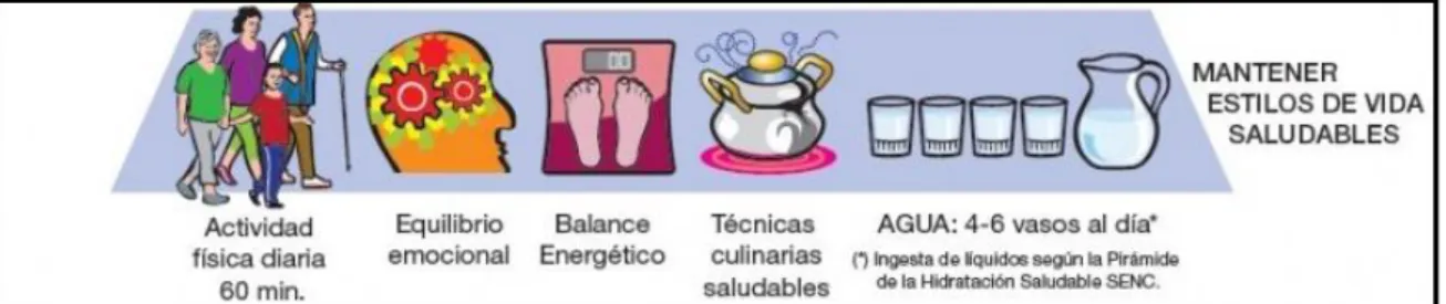 Gráfico 5. Base de la Pirámide de la Alimentación Saludable, SENC 2015  (45) 