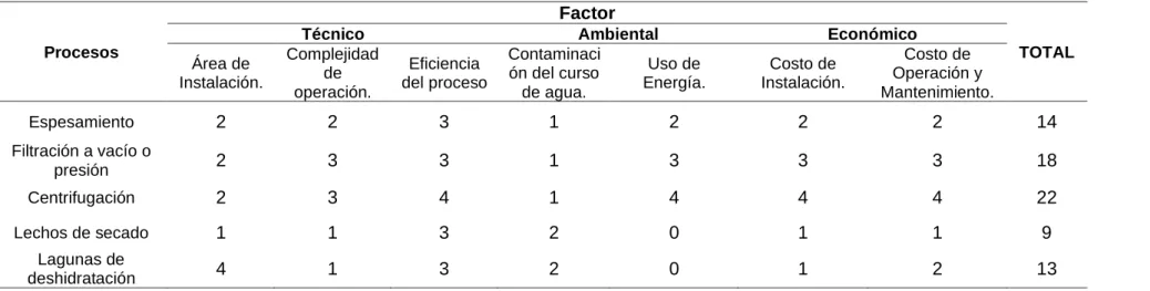 Cuadro de Valoración de los procesos para el Tratamiento de Lodos. 