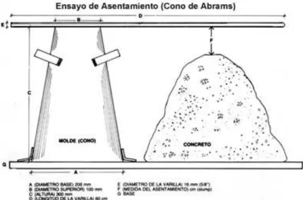 Figura 1: Cono de Abrams. 