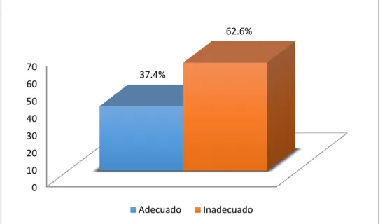 Figura 1: Datos según la variable mochila 