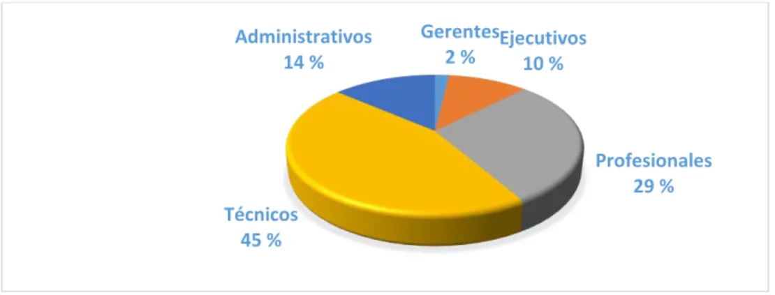 Figura 2.  Electrosur: Personal por Categoría”