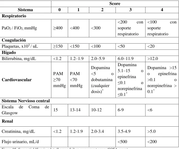 Figura 05: Sequential [Sepsis-related] organ failure assessment score (SOFA score). 