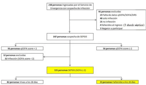 Figura 08: Diagrama de flujo del estudio 