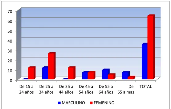 FIGURA Nro. 01 
