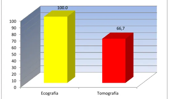 FIGURA Nro. 04 